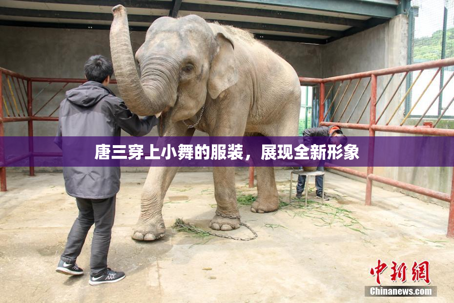唐三穿上小舞的服装，展现全新形象