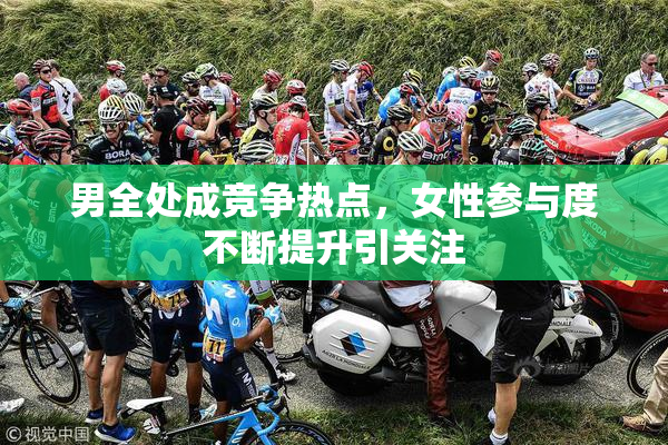 男全处成竞争热点，女性参与度不断提升引关注
