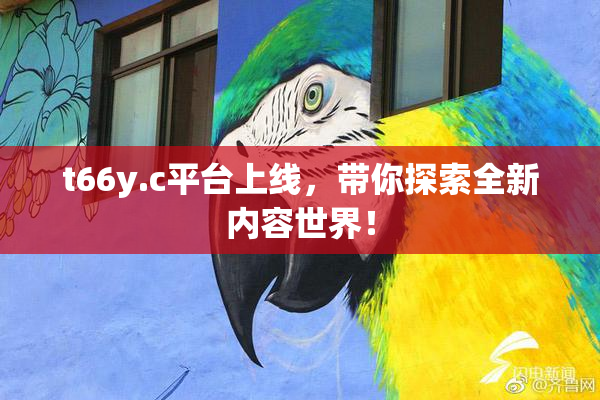 t66y.c平台上线，带你探索全新内容世界！