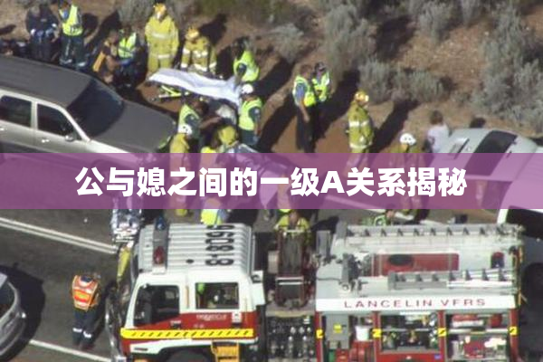 公与媳之间的一级A关系揭秘