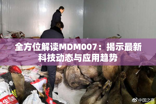 全方位解读MDM007：揭示最新科技动态与应用趋势