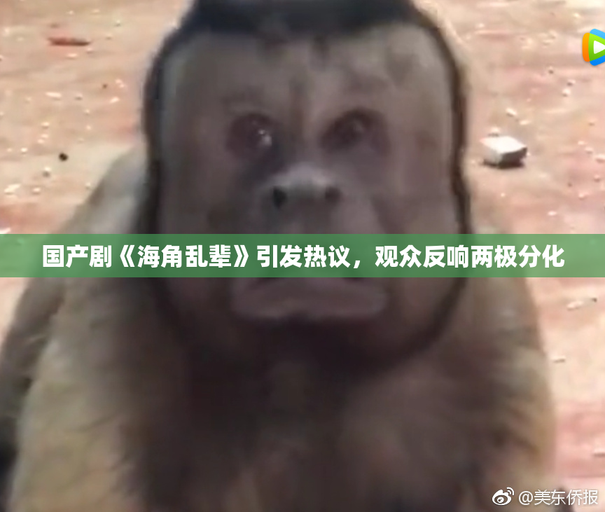 国产剧《海角乱辈》引发热议，观众反响两极分化