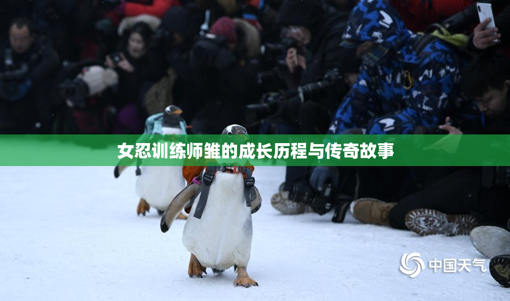 女忍训练师雏的成长历程与传奇故事