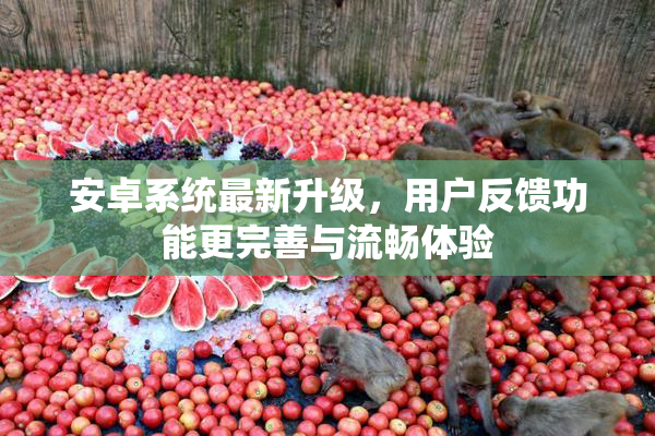 安卓系统最新升级，用户反馈功能更完善与流畅体验