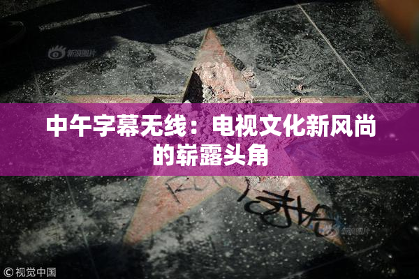 中午字幕无线：电视文化新风尚的崭露头角