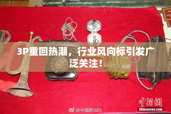 3P重回热潮，行业风向标引发广泛关注！