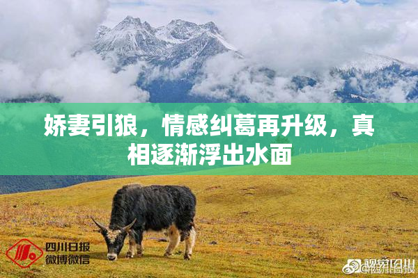 娇妻引狼，情感纠葛再升级，真相逐渐浮出水面