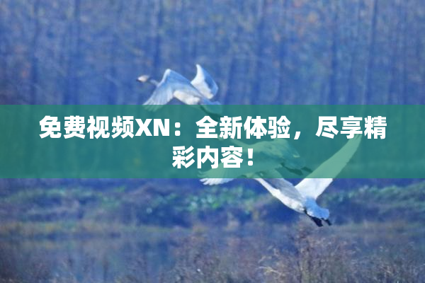 免费视频XN：全新体验，尽享精彩内容！