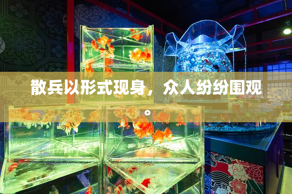 散兵以形式现身，众人纷纷围观。