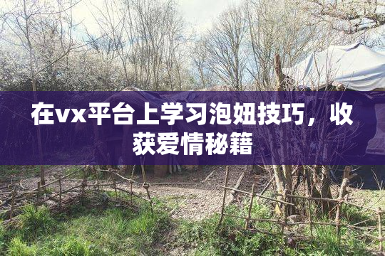 在vx平台上学习泡妞技巧，收获爱情秘籍
