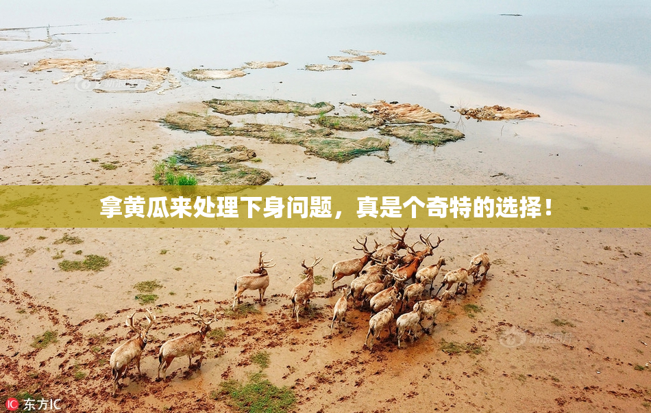 拿黄瓜来处理下身问题，真是个奇特的选择！
