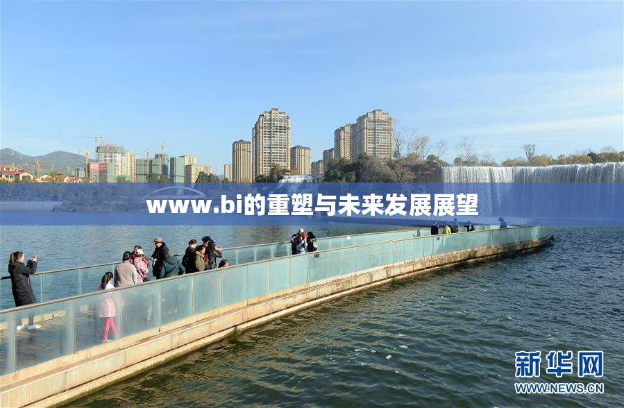 www.bi的重塑与未来发展展望