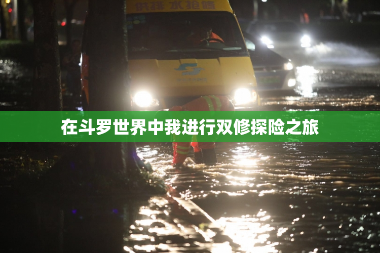 在斗罗世界中我进行双修探险之旅