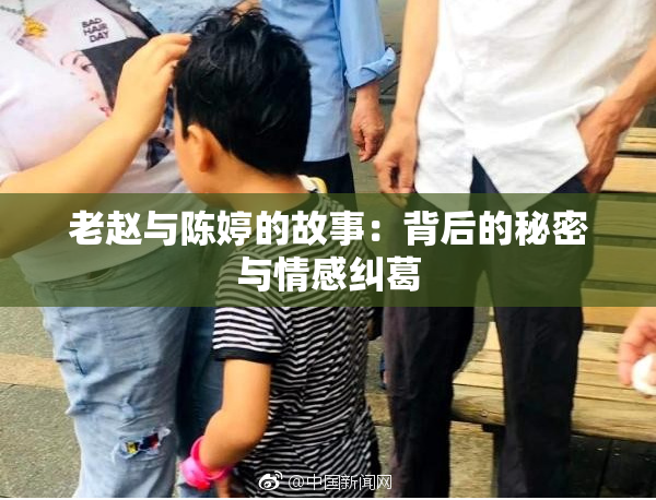 老赵与陈婷的故事：背后的秘密与情感纠葛