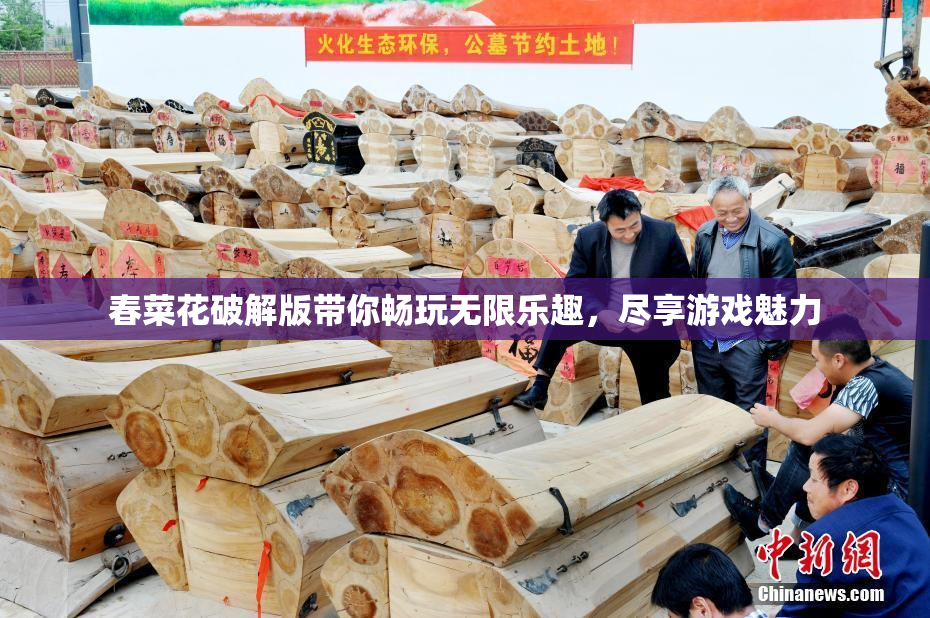 春菜花破解版带你畅玩无限乐趣，尽享游戏魅力