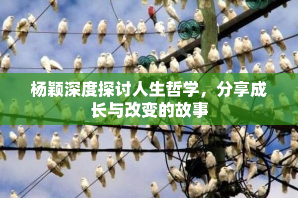 杨颖深度探讨人生哲学，分享成长与改变的故事