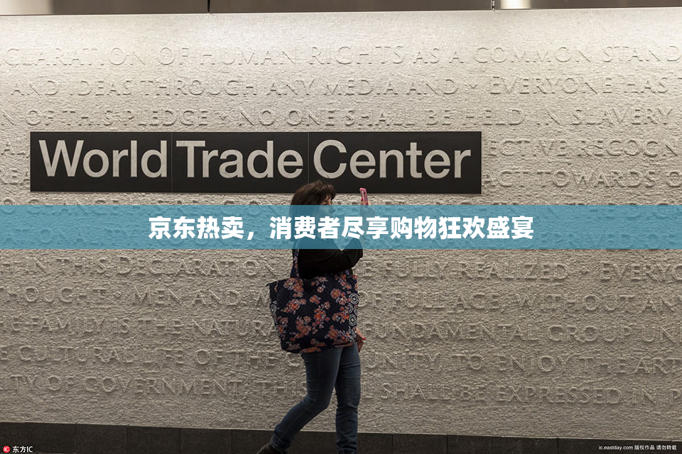 京东热卖，消费者尽享购物狂欢盛宴