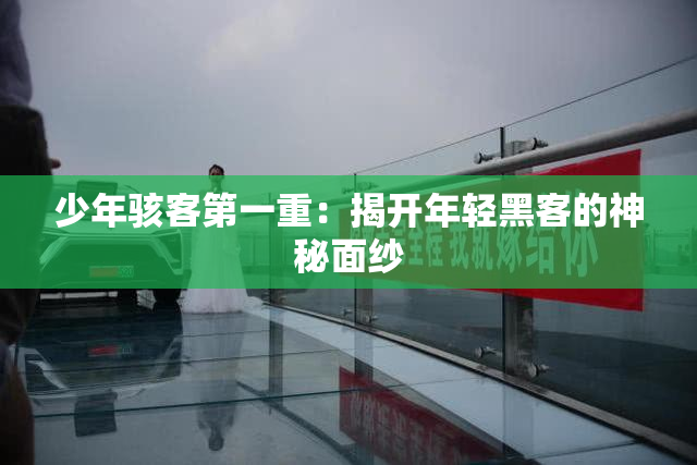 少年骇客第一重：揭开年轻黑客的神秘面纱
