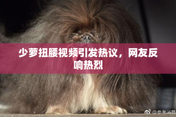 少萝扭腰视频引发热议，网友反响热烈