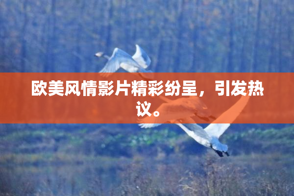 欧美风情影片精彩纷呈，引发热议。