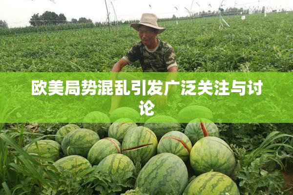 欧美局势混乱引发广泛关注与讨论