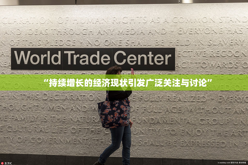 “持续增长的经济现状引发广泛关注与讨论”