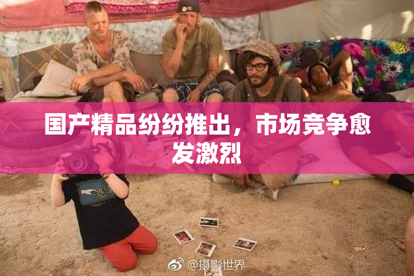 国产精品纷纷推出，市场竞争愈发激烈