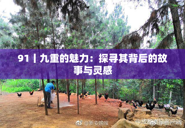 91丨九重的魅力：探寻其背后的故事与灵感
