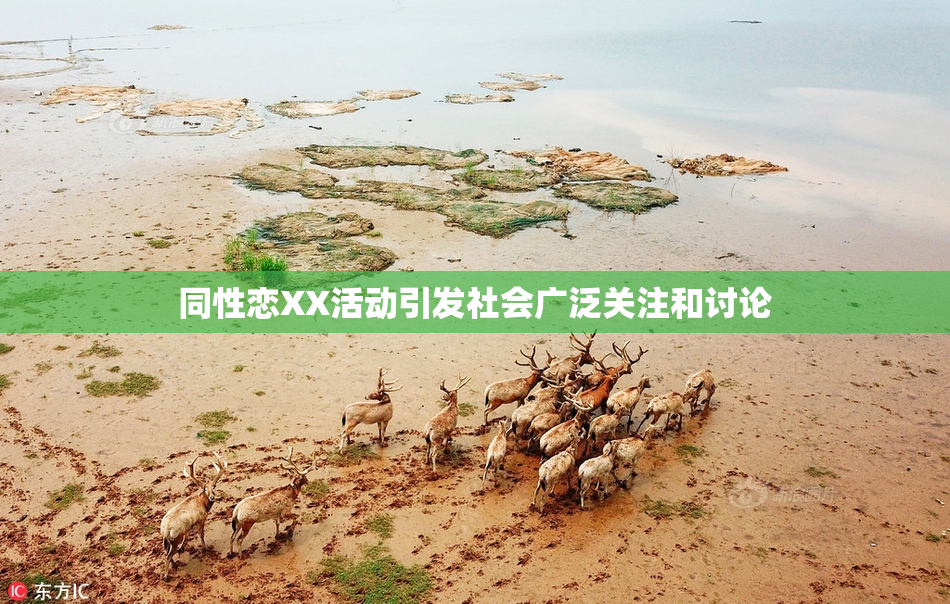 同性恋XX活动引发社会广泛关注和讨论