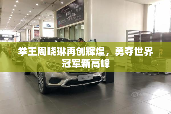 拳王周晓琳再创辉煌，勇夺世界冠军新高峰
