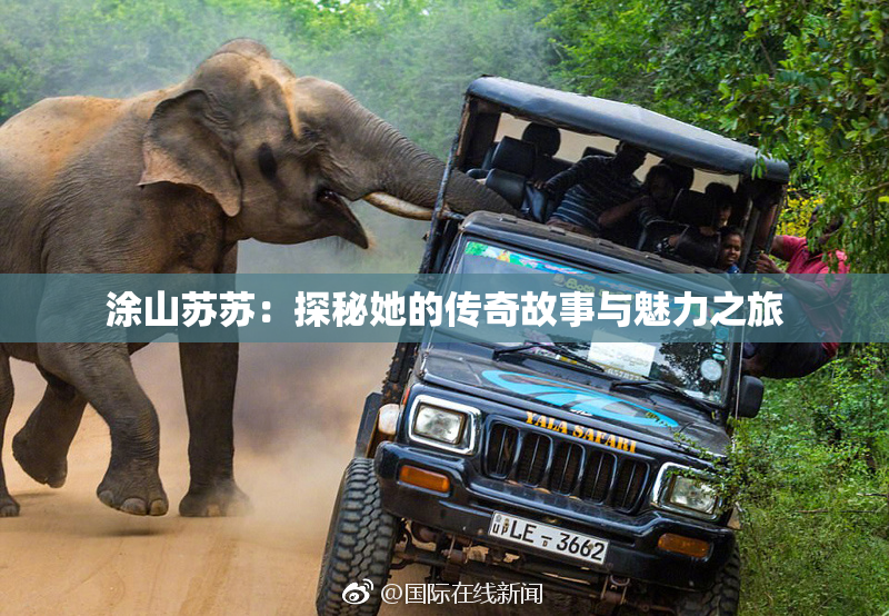 涂山苏苏：探秘她的传奇故事与魅力之旅