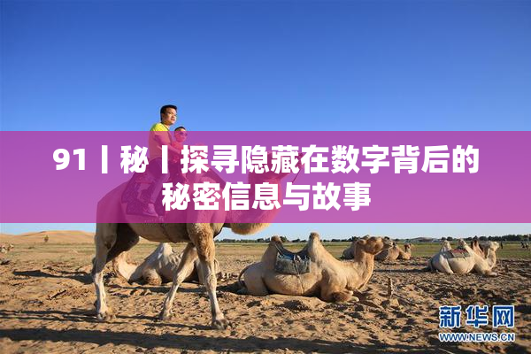 91丨秘丨探寻隐藏在数字背后的秘密信息与故事