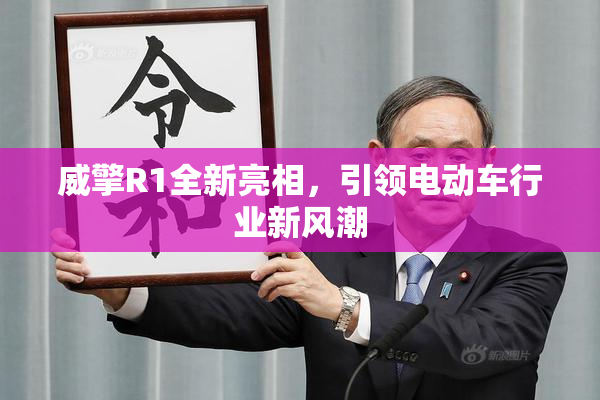 威擎R1全新亮相，引领电动车行业新风潮
