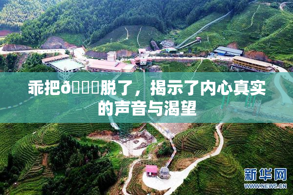 乖把👙脱了，揭示了内心真实的声音与渴望