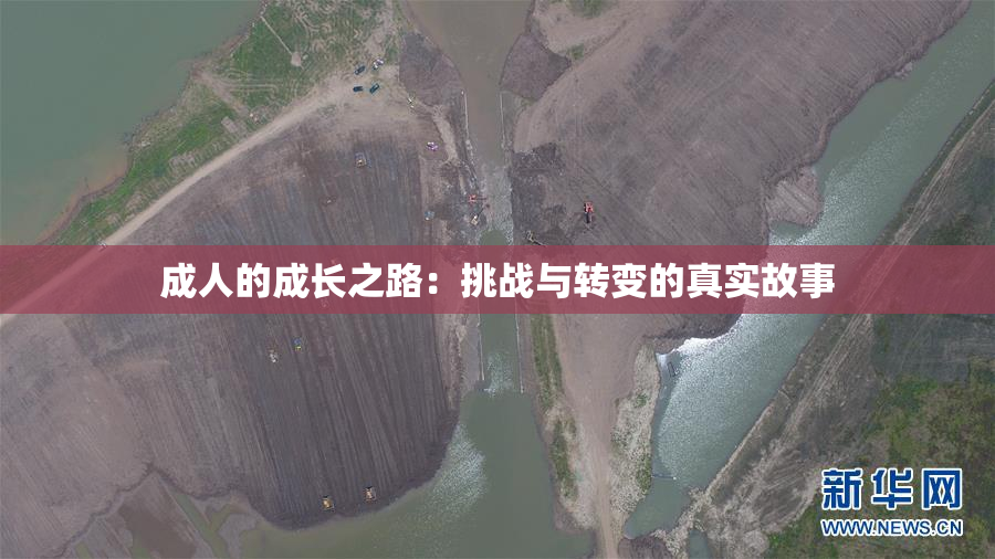 成人的成长之路：挑战与转变的真实故事
