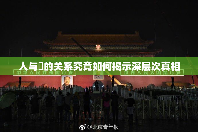 人与嘼的关系究竟如何揭示深层次真相
