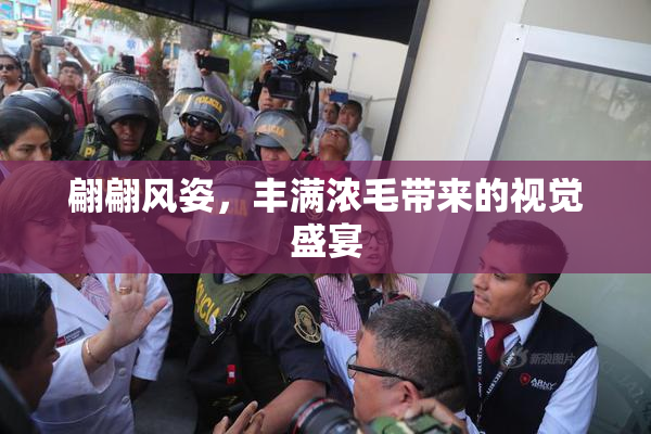 翩翩风姿，丰满浓毛带来的视觉盛宴