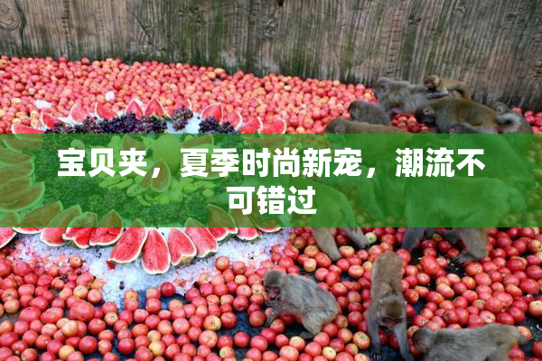 宝贝夹，夏季时尚新宠，潮流不可错过