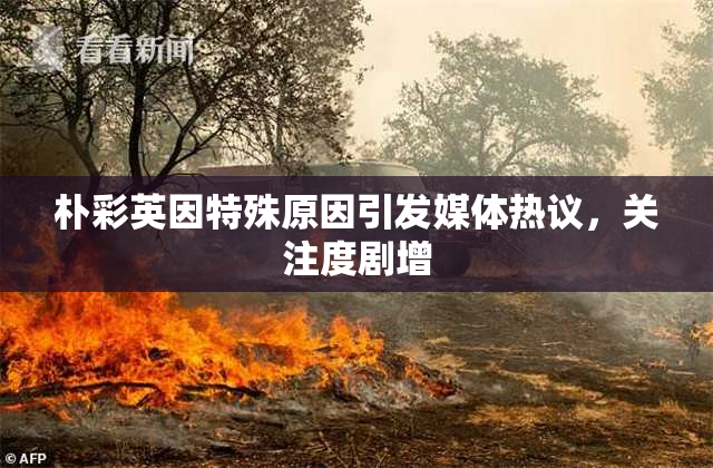 朴彩英因特殊原因引发媒体热议，关注度剧增