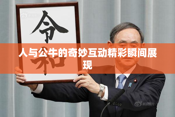 人与公牛的奇妙互动精彩瞬间展现