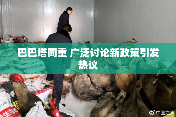 巴巴塔同重 广泛讨论新政策引发热议