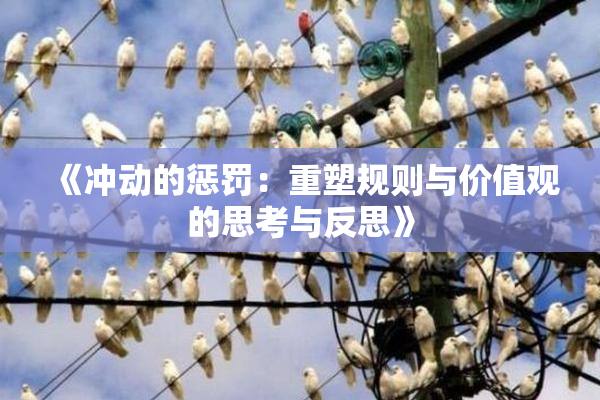 《冲动的惩罚：重塑规则与价值观的思考与反思》