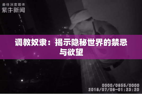 调教奴隶：揭示隐秘世界的禁忌与欲望