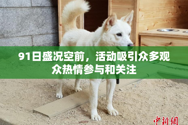 91日盛况空前，活动吸引众多观众热情参与和关注