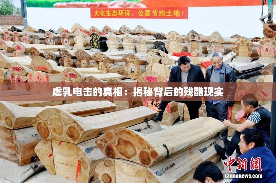 虐乳电击的真相：揭秘背后的残酷现实