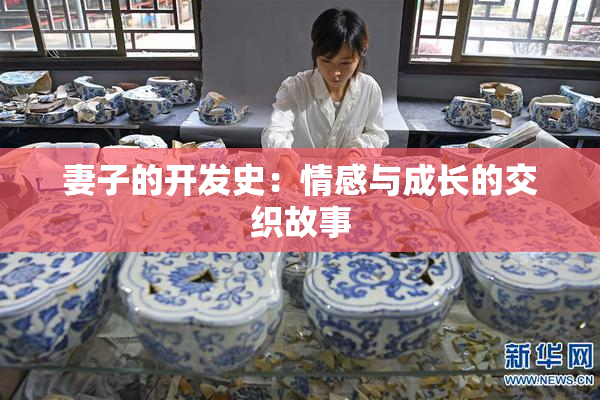 妻子的开发史：情感与成长的交织故事
