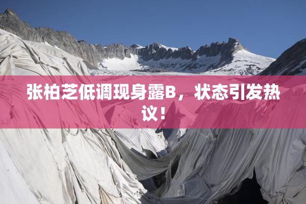 张柏芝低调现身露B，状态引发热议！