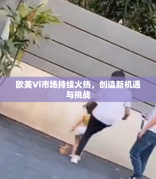 欧美Vi市场持续火热，创造新机遇与挑战