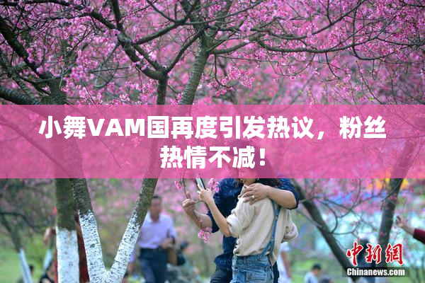 小舞VAM国再度引发热议，粉丝热情不减！
