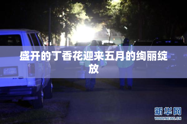 盛开的丁香花迎来五月的绚丽绽放